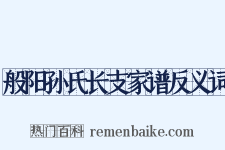 般阳孙氏长支家谱反义词是什么意思的图片
